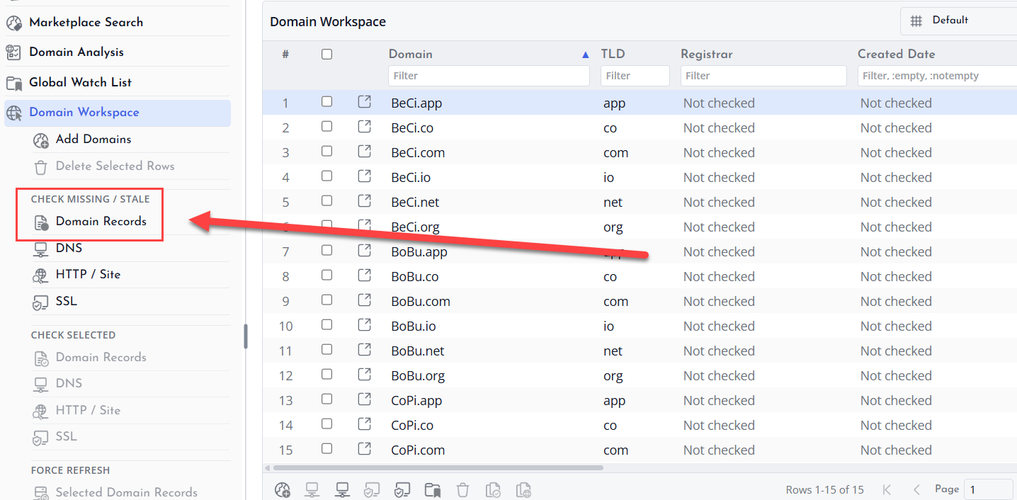 Screenshot of Domain record all missing stale