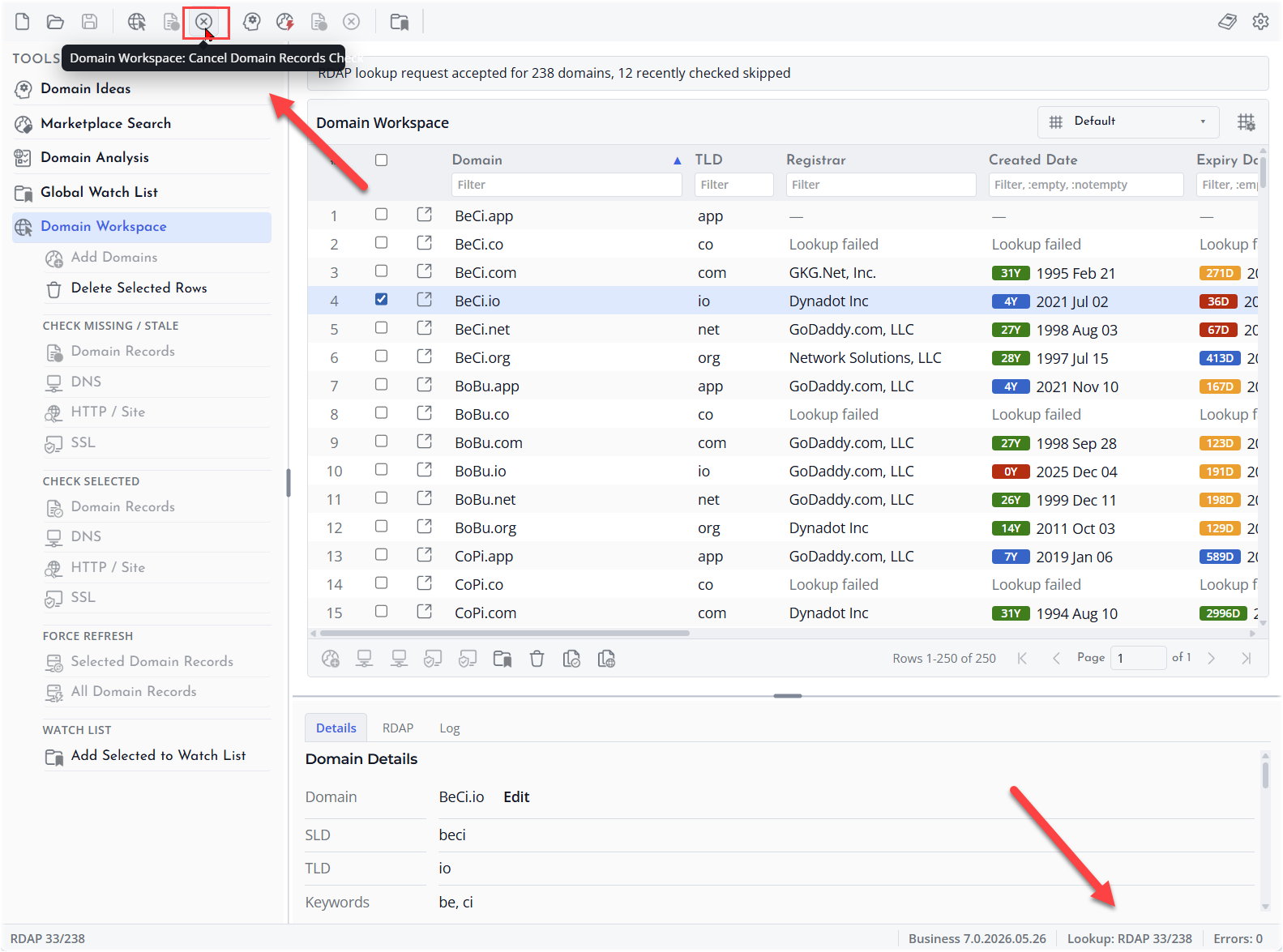 Screenshot of Domain record cancel lookup