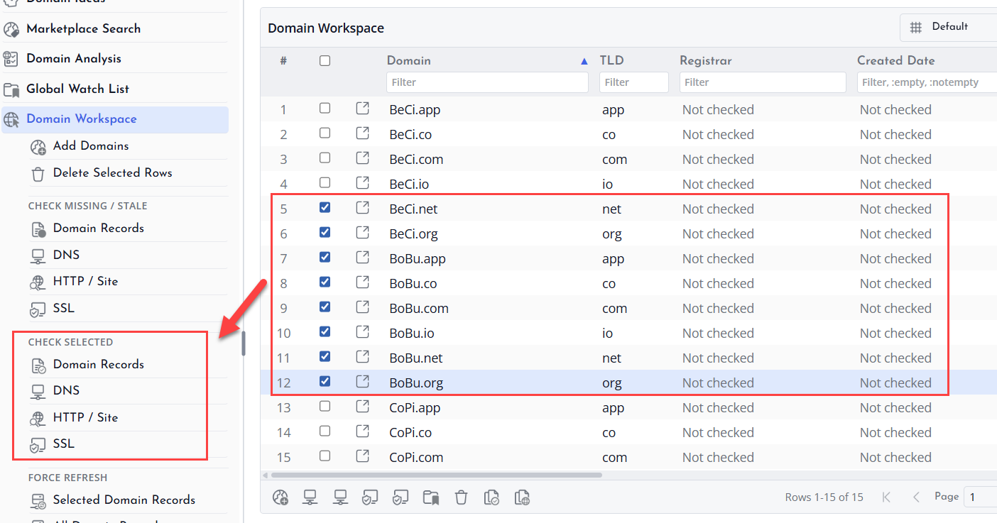 Screenshot of Domain record selected missing stale