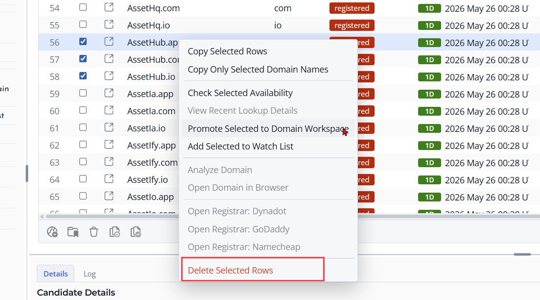 Screenshot of Selected candidate rows in Domain Ideas
