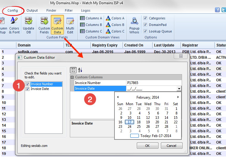 Editing Custom Data Fields