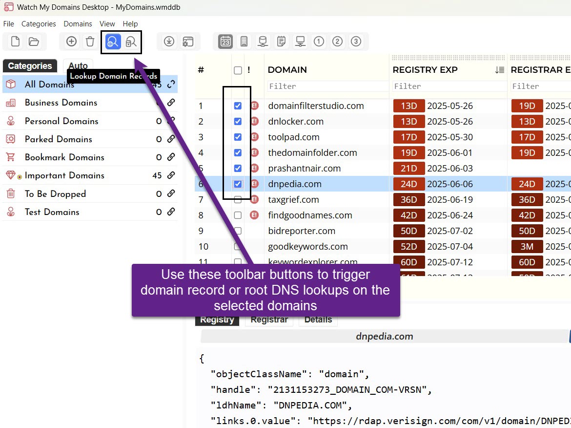 Domain record Lookups