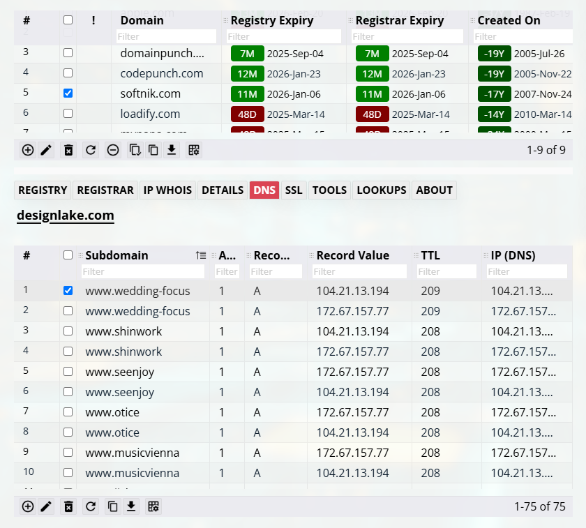 Subdomains and DNS Information