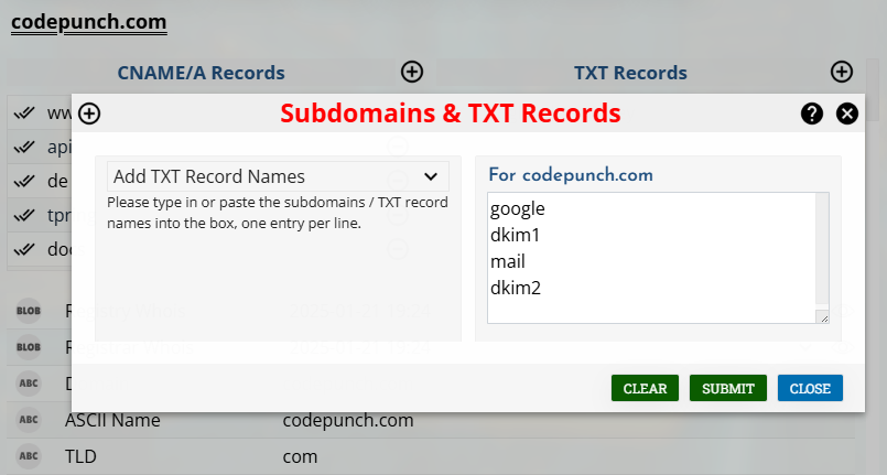 Adding TXT record names manually