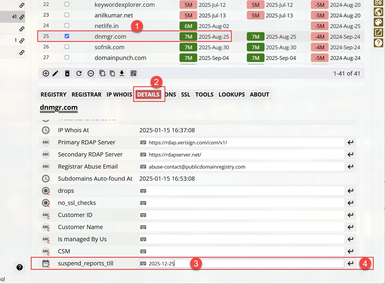 Custom Column Editing for Domain Name Reports