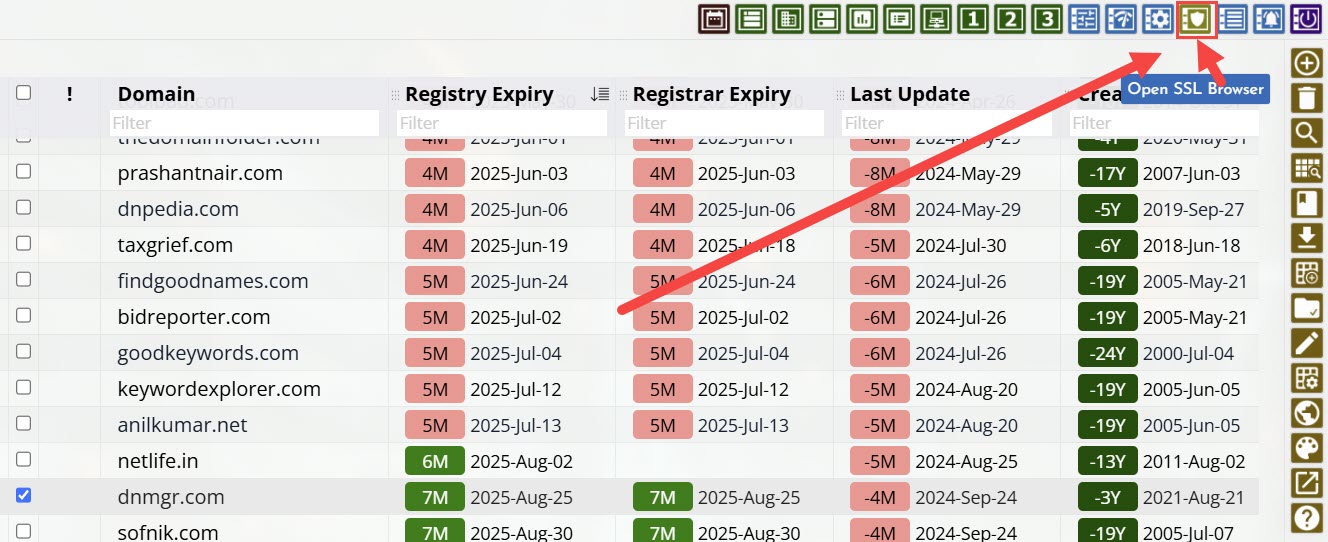 SSL Browser button in domain table toolbar