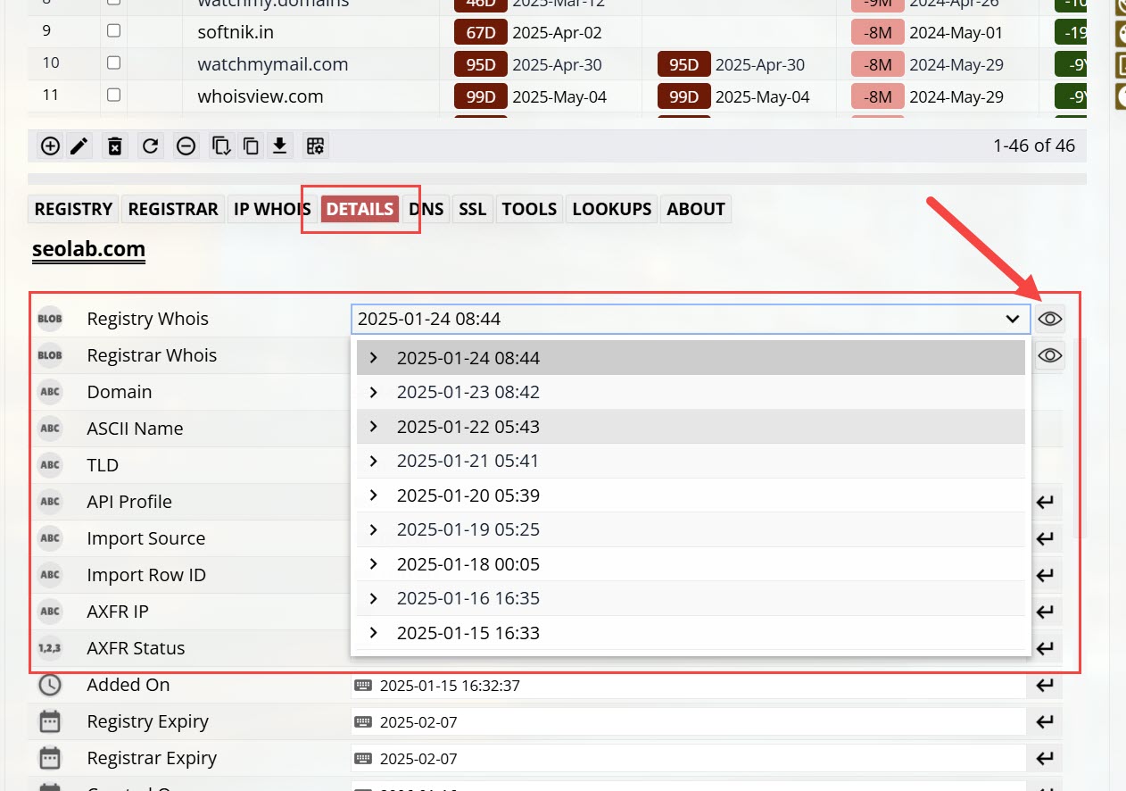 Whois/RDAP History Information in Details Pane